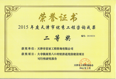 2015大寺镇南里八口村经济适用房建设项目可行性研究报告（二等奖）